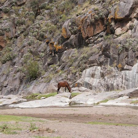 Altos Del Valle San Agustín de Valle Fértil Zewnętrze zdjęcie