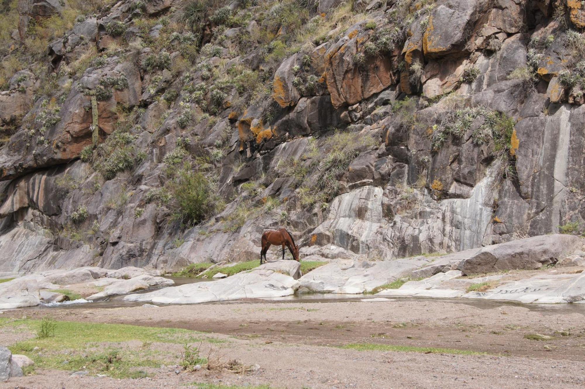 Altos Del Valle San Agustín de Valle Fértil Zewnętrze zdjęcie