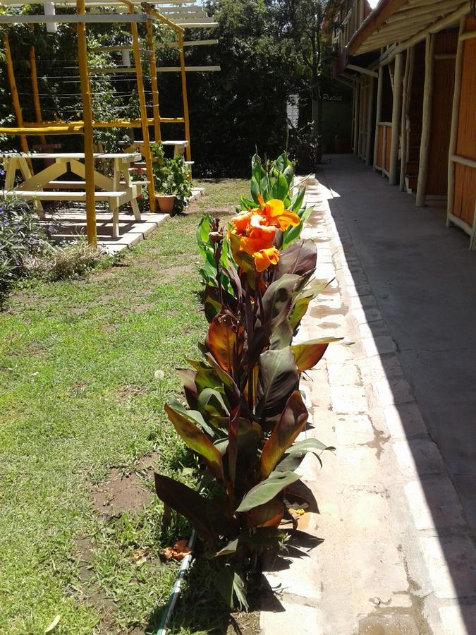 Altos Del Valle San Agustín de Valle Fértil Zewnętrze zdjęcie